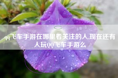 qq飞车手游在哪里看关注的人,现在还有人玩QQ飞车手游么