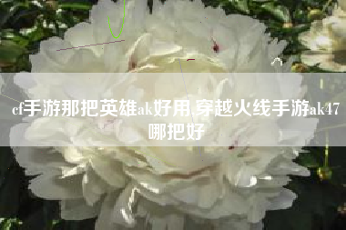 cf手游那把英雄ak好用,穿越火线手游ak47哪把好