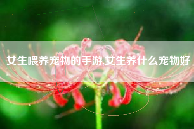 女生喂养宠物的手游,女生养什么宠物好