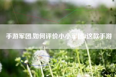 手游军团,如何评价小小军团2这款手游