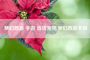 梦幻西游 手游 省钱宠物,梦幻西游手游