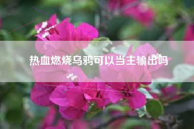 热血燃烧乌鸦可以当主输出吗