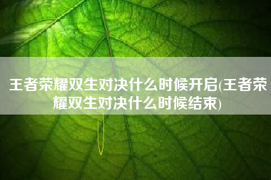 王者荣耀双生对决什么时候开启(王者荣耀双生对决什么时候结束)