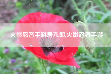 火影忍者手游居九郎,火影忍者手游