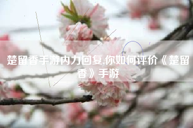 楚留香手游内力回复,你如何评价《楚留香》手游