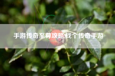 手游传奇至尊攻略,找个传奇手游