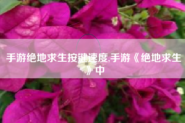 手游绝地求生按键速度,手游《绝地求生》中