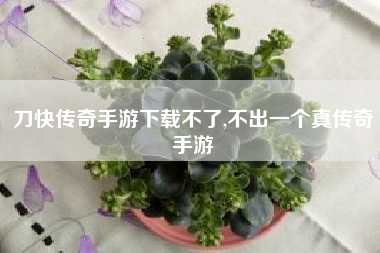 刀快传奇手游下载不了,不出一个真传奇手游