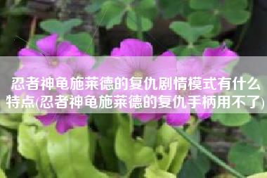 忍者神龟施莱德的复仇剧情模式有什么特点(忍者神龟施莱德的复仇手柄用不了)