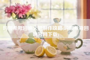玛娜希斯回响火把制作攻略(玛娜希斯回响官网下载)