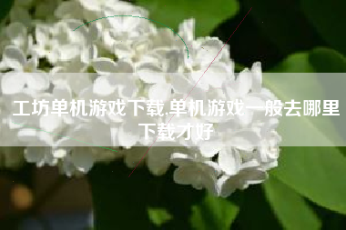 工坊单机游戏下载,单机游戏一般去哪里下载才好