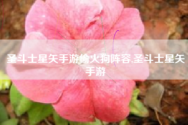 圣斗士星矢手游偷火狗阵容,圣斗士星矢手游