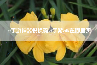 cf手游神器悦换码,cf手游cdk在哪里买