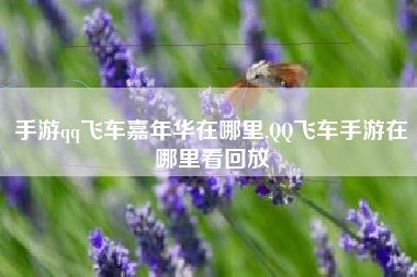 手游qq飞车嘉年华在哪里,QQ飞车手游在哪里看回放