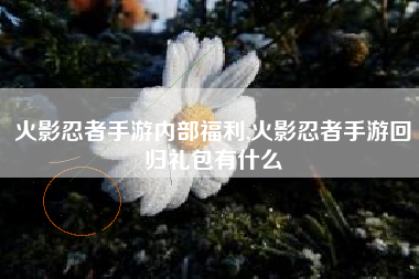 火影忍者手游内部福利,火影忍者手游回归礼包有什么