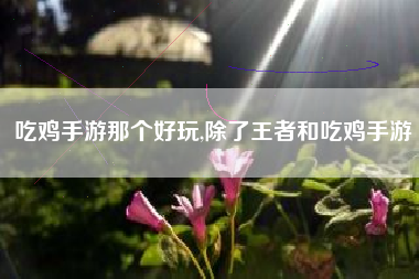 吃鸡手游那个好玩,除了王者和吃鸡手游
