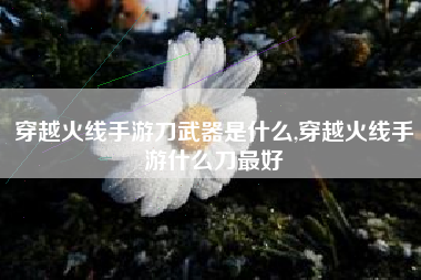 穿越火线手游刀武器是什么,穿越火线手游什么刀最好
