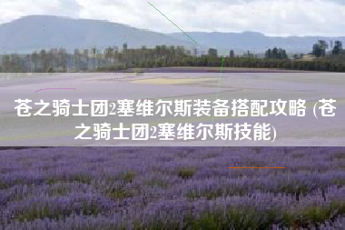 苍之骑士团2塞维尔斯装备搭配攻略 (苍之骑士团2塞维尔斯技能)