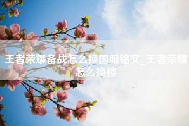 王者荣耀备战怎么换国服铭文_王者荣耀怎么换楼