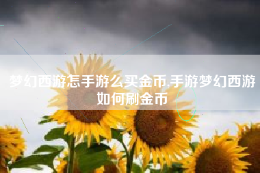 梦幻西游怎手游么买金币,手游梦幻西游如何刷金币