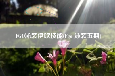 FGO泳装伊吹技能(Fgo 泳装五期)