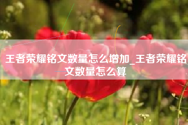 王者荣耀铭文数量怎么增加_王者荣耀铭文数量怎么算