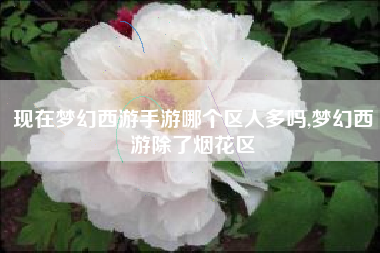 现在梦幻西游手游哪个区人多吗,梦幻西游除了烟花区 现在梦幻西游手游哪个区人多吗,梦幻西游除了烟花区