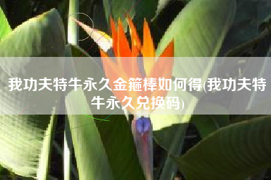 我功夫特牛永久金箍棒如何得(我功夫特牛永久兑换码)