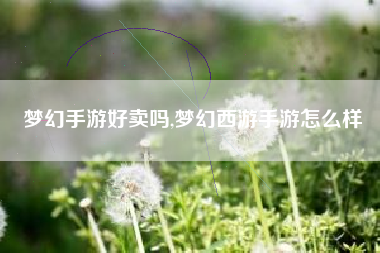 梦幻手游好卖吗,梦幻西游手游怎么样