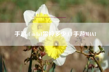 手游cf m4a1雷神多少,CF手游M4A1