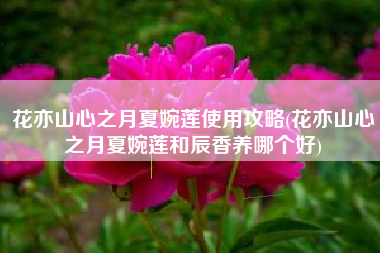 花亦山心之月夏婉莲使用攻略(花亦山心之月夏婉莲和辰香养哪个好)