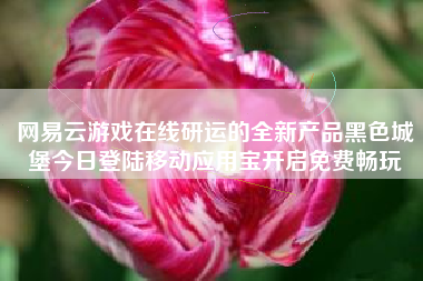 网易云游戏在线研运的全新产品黑色城堡今日登陆移动应用宝开启免费畅玩