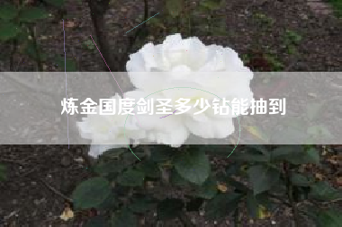 炼金国度剑圣多少钻能抽到