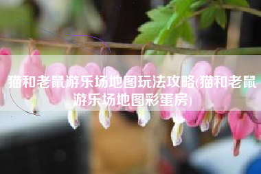 猫和老鼠游乐场地图玩法攻略(猫和老鼠游乐场地图彩蛋房)
