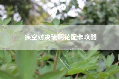 疾空对决琉璃花配卡攻略