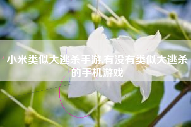 小米类似大逃杀手游,有没有类似大逃杀的手机游戏