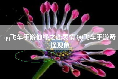 qq飞车手游仙缘之恋表情,QQ飞车手游奇怪现象
