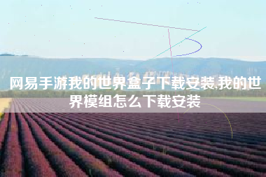 网易手游我的世界盒子下载安装,我的世界模组怎么下载安装