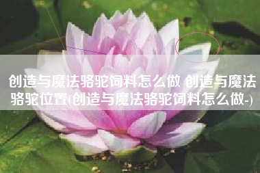 创造与魔法骆驼饲料怎么做 创造与魔法骆驼位置(创造与魔法骆驼饲料怎么做-)