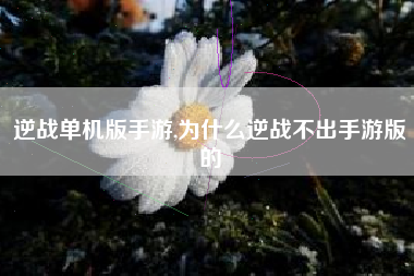 逆战单机版手游,为什么逆战不出手游版的