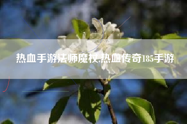 热血手游法师魔杖,热血传奇185手游