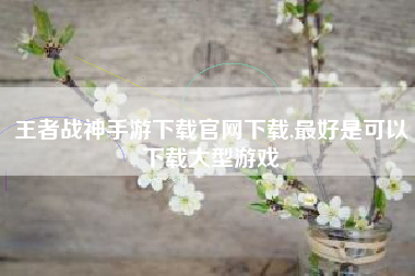 王者战神手游下载官网下载,最好是可以下载大型游戏