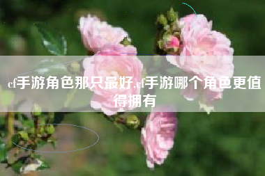cf手游角色那只最好,cf手游哪个角色更值得拥有