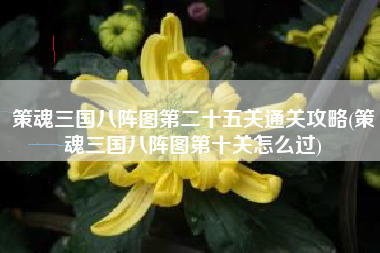 策魂三国八阵图第二十五关通关攻略(策魂三国八阵图第十关怎么过)