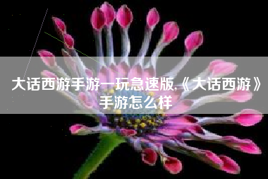 大话西游手游一玩急速版,《大话西游》手游怎么样