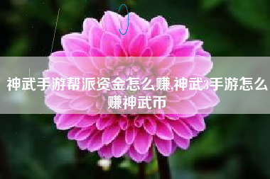神武手游帮派资金怎么赚,神武3手游怎么赚神武币
