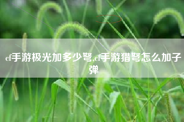 cf手游极光加多少弩,cf手游猎弩怎么加子弹