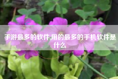 手游最多的软件,用的最多的手机软件是什么