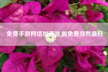 免费手游网络加速器,能免费当然最好