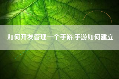 如何开发管理一个手游,手游如何建立